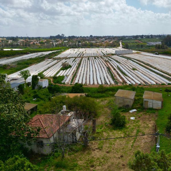 מושב צור משה, לב השרון